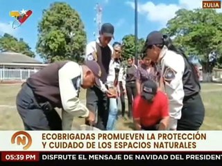 Zulia | Misión Árbol realizó jornada de siembra en el mcpio. Jesús Enrique Losada