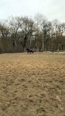Why You Should Wear a Helmet While Horseback Riding