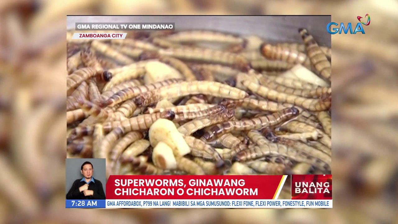 Superworms, ginawang chicharon o chichaworm | UB