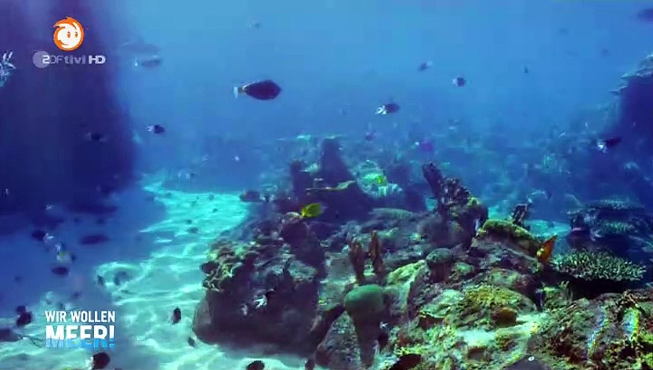 Mako – Einfach Meerjungfrau Staffel 1 Folge 2