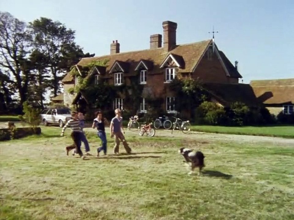 Fünf Freunde Staffel 1 Folge 8