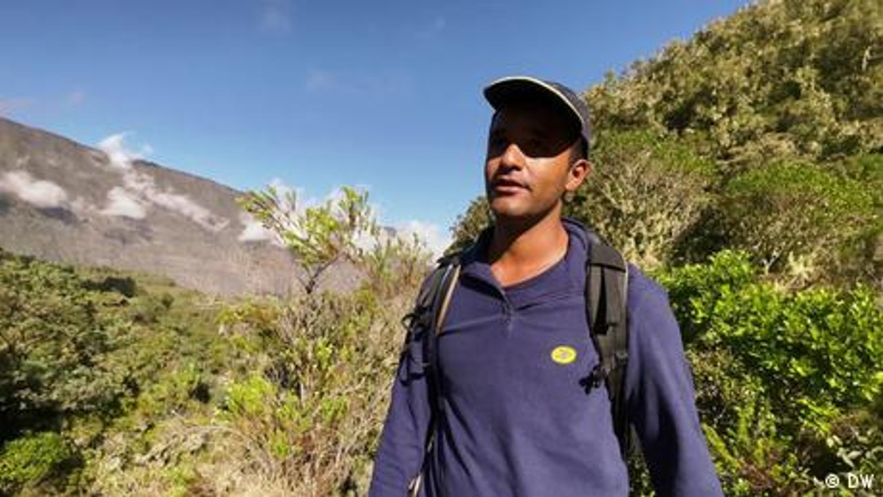 Wie kommt die Post in den Regenwald?