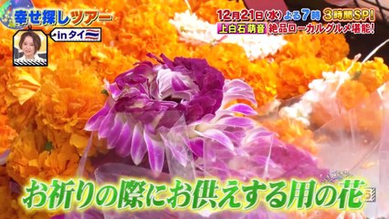 Sekakura Mone Thai Preview 22.12.2022