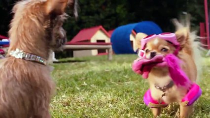 Beverly Hills Chihuahua 3- Viva la Fiesta! (2012) Watch HD HD Deutsch