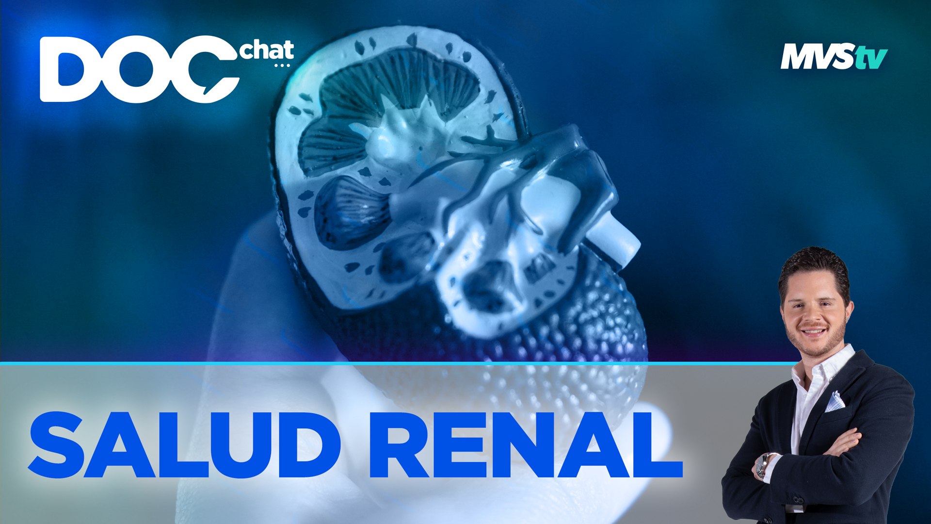 Salud renal - Doc Chat