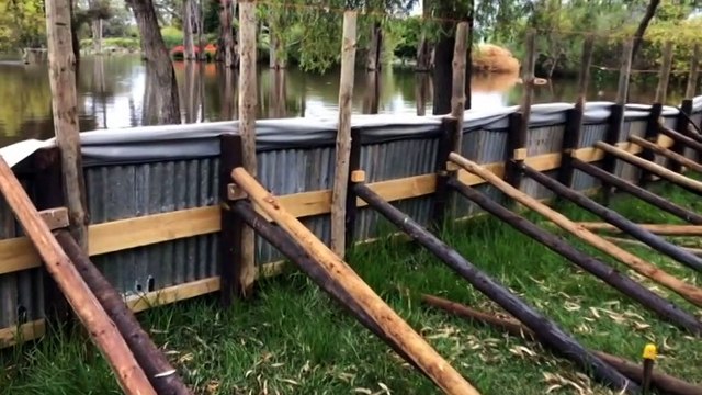 The River Murray water levels are rising in South Australia
