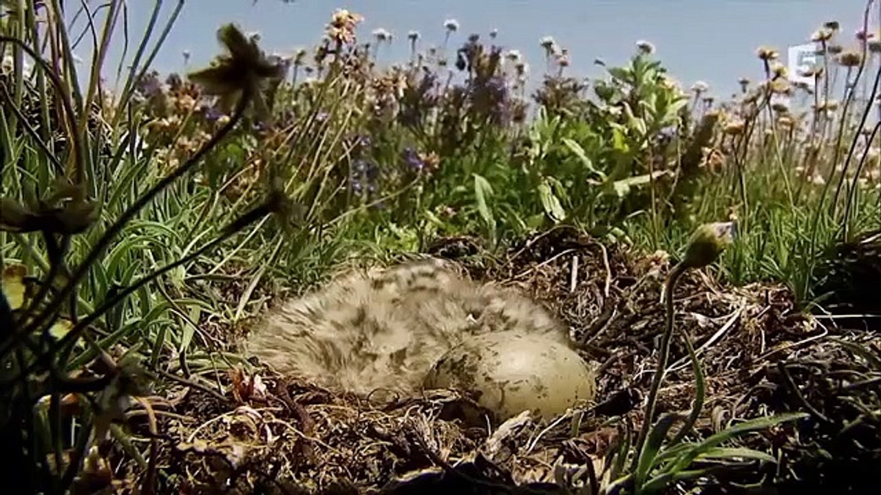 les mathematiques sont presentes dans la nature