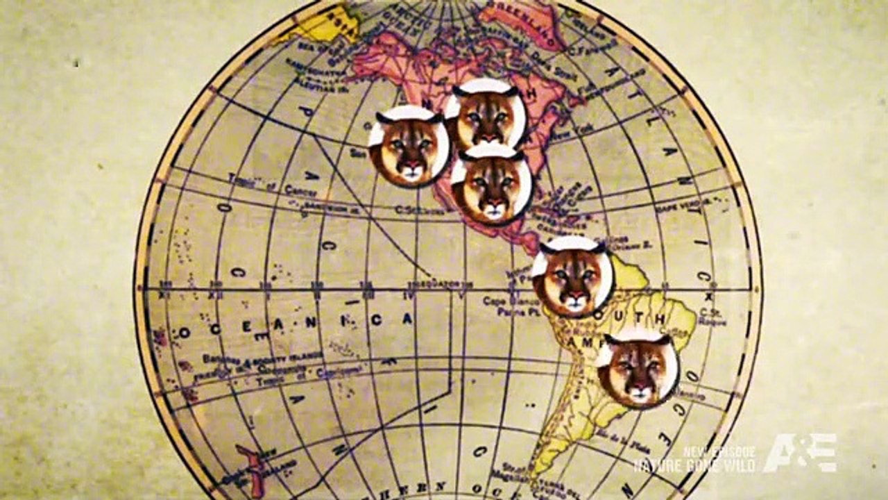 Nature Gone Wild - Se1 - Ep05 HD Watch HD Deutsch