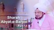 Sharah Abyat-e-Bahoo | Interpretation Abyat-e-Bahoo | Sultan-ul-Ashiqeen | شرح ابیاتِ باھُو |Part 13