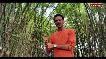 बस्तर के लोग इस पेड़ को कभी नहीं काटते 🌳