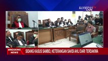 Ahli Hukum Pidana: Pembunuhan Tidak Mungkin Dilakukan Karena Pasif!