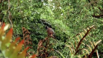Sam Fox - Extreme Adventures - Se1 - Ep23 HD Watch HD Deutsch
