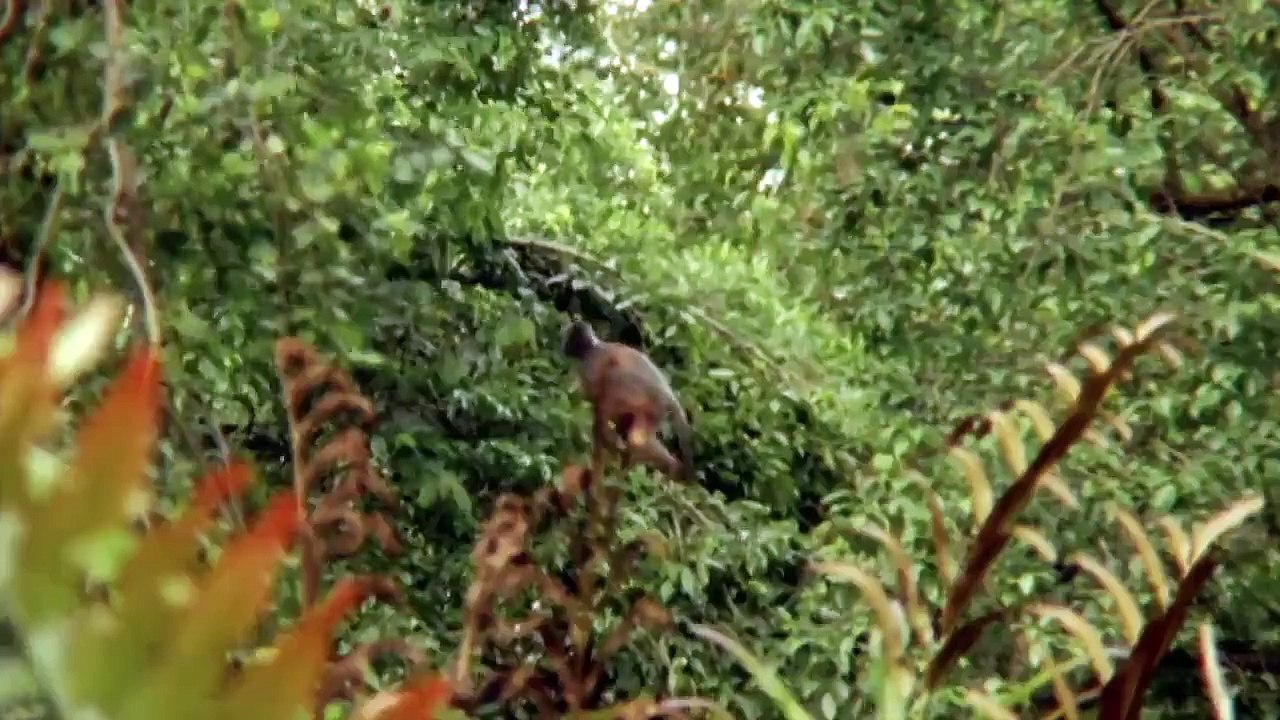 Sam Fox - Extreme Adventures - Se1 - Ep23 HD Watch HD Deutsch