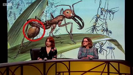 QI XL - Se15 - Ep17 - VG - Part One HD Watch HD Deutsch