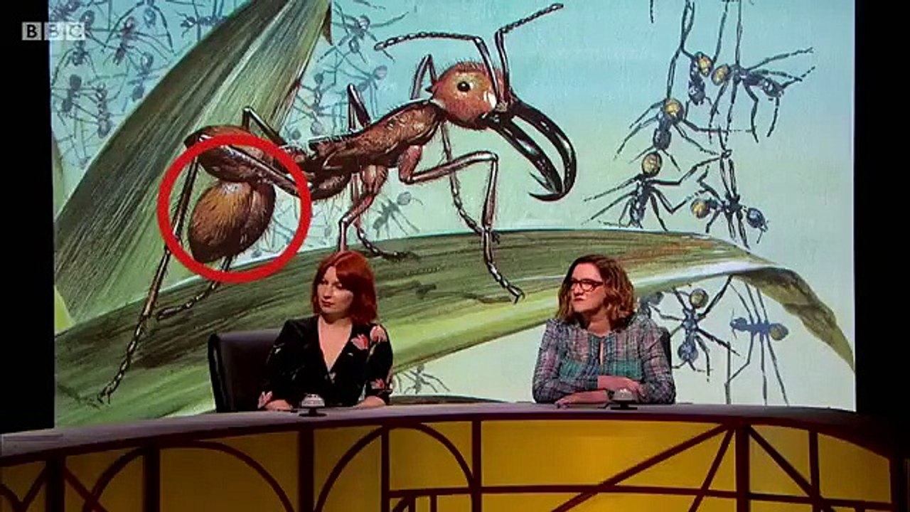 QI XL - Se15 - Ep17 - VG - Part One HD Watch HD Deutsch