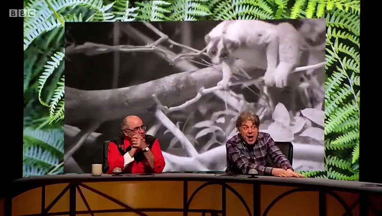 QI XL - Se16 - Ep01 - P-Animals HD Watch HD Deutsch