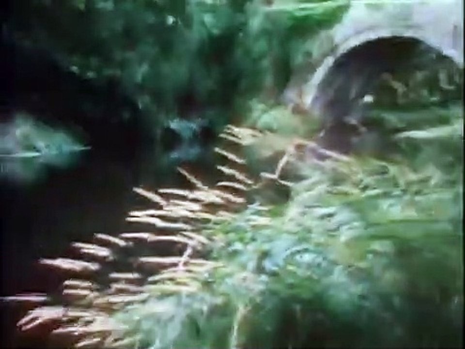 In Search of... - Se1 - Ep24 HD Watch HD Deutsch