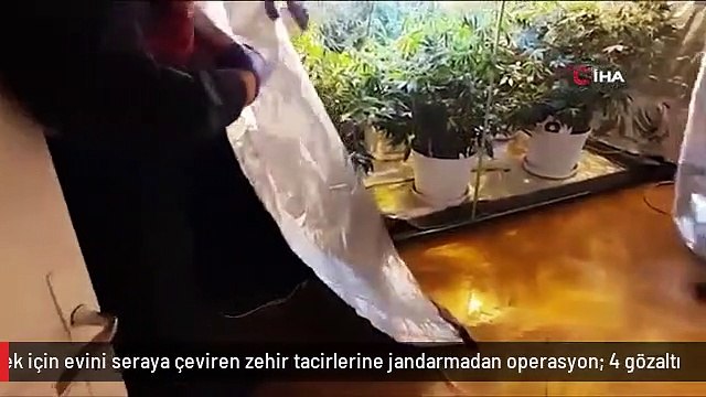 Uyuşturucu imal etmek için evini seraya çeviren zehir tacirlerine jandarmadan operasyon: 4 gözaltı