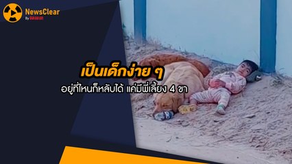 เด็กง่ายๆ นอนหลับสบายทุกที่ มีพี่เลี้ยง 4 ขาเคียงข้าง 🐶