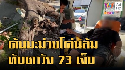 ต้นมะม่วงโค่นทับตาวัย 73 บาดเจ็บสาหัส ตร.เพื่อนบ้านลุยช่วย | ข่าวเที่ยงอมรินทร์ | 22 ธ.ค.65