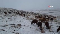 Kars'ta göçerlerin kar altında zorlu yolculuğu