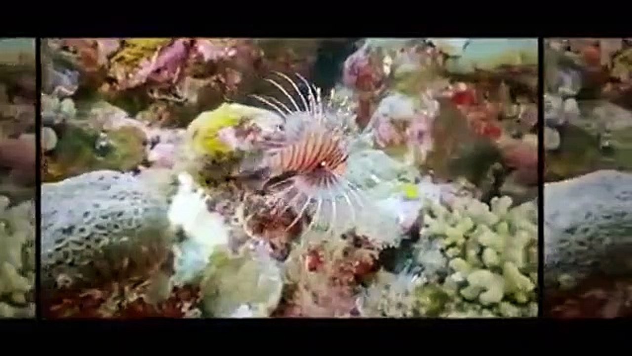 VICE - Se5 - Ep24 - VICE 78 HD Watch HD Deutsch