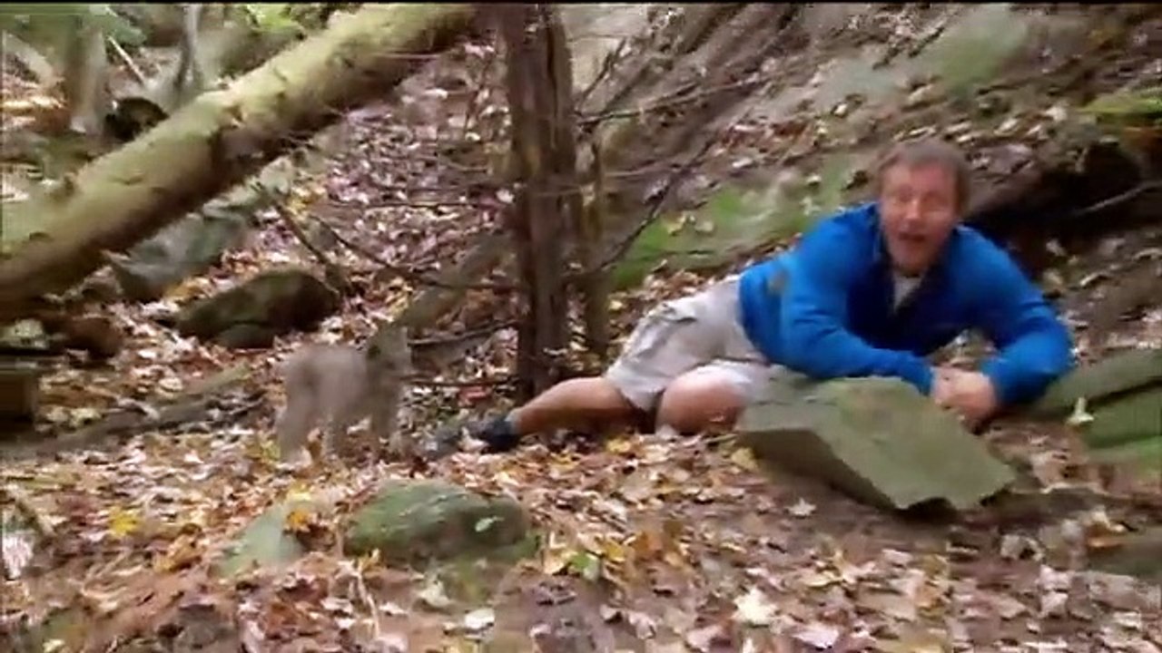 Wild Kratts - Se1 - Ep16 HD Watch HD Deutsch