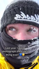 Barry Humfrey Geraldton - How cute are these little fluffballs! ❤️