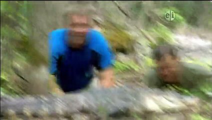 Wild Kratts - Se1 - Ep26 HD Watch HD Deutsch