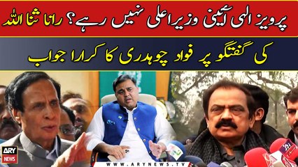 Fawad Chaudhry slams Rana Sanaullah, Reminds him of law and constitution