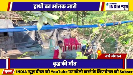 नार्थ बंगाल के सिलीगुड़ी में हाथी का आतंक वन विभाग मौके पर तलाश में जुटा