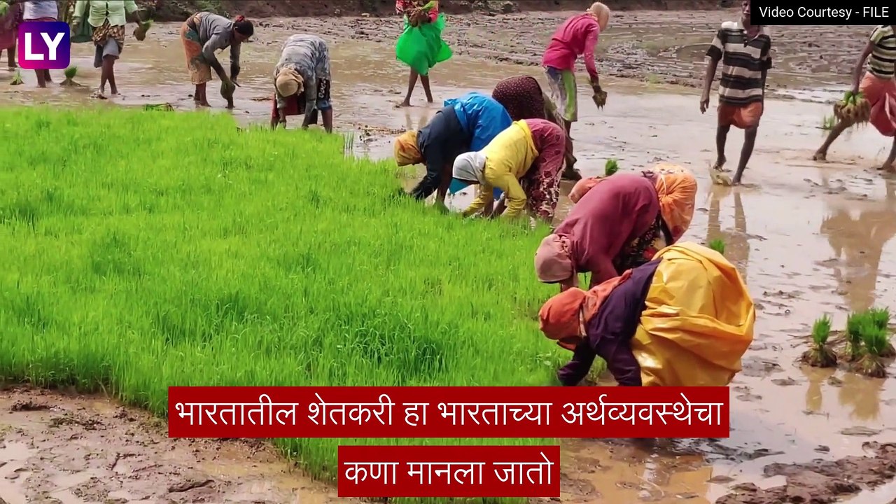 Kisan Diwas 2022: शेतकरी दिनाची तारीख, इतिहास आ...