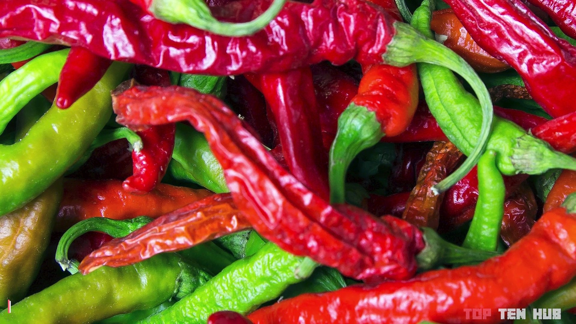 Top 10 Hottest Peppers In The World - video Dailymotion