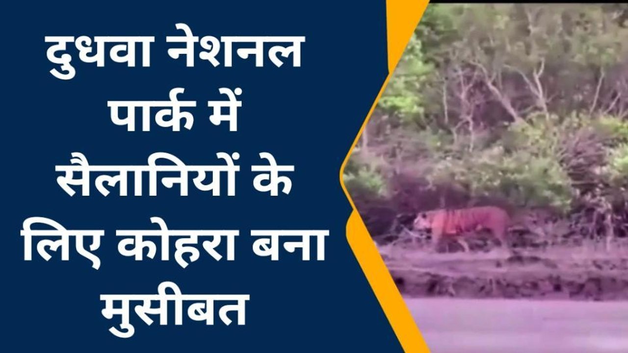 लखीमपुर खीरीः कोहरे से सैलानियों की हसरत पर फिरा पानी, नहीं हो रहे वन्यजीवों के दीदार