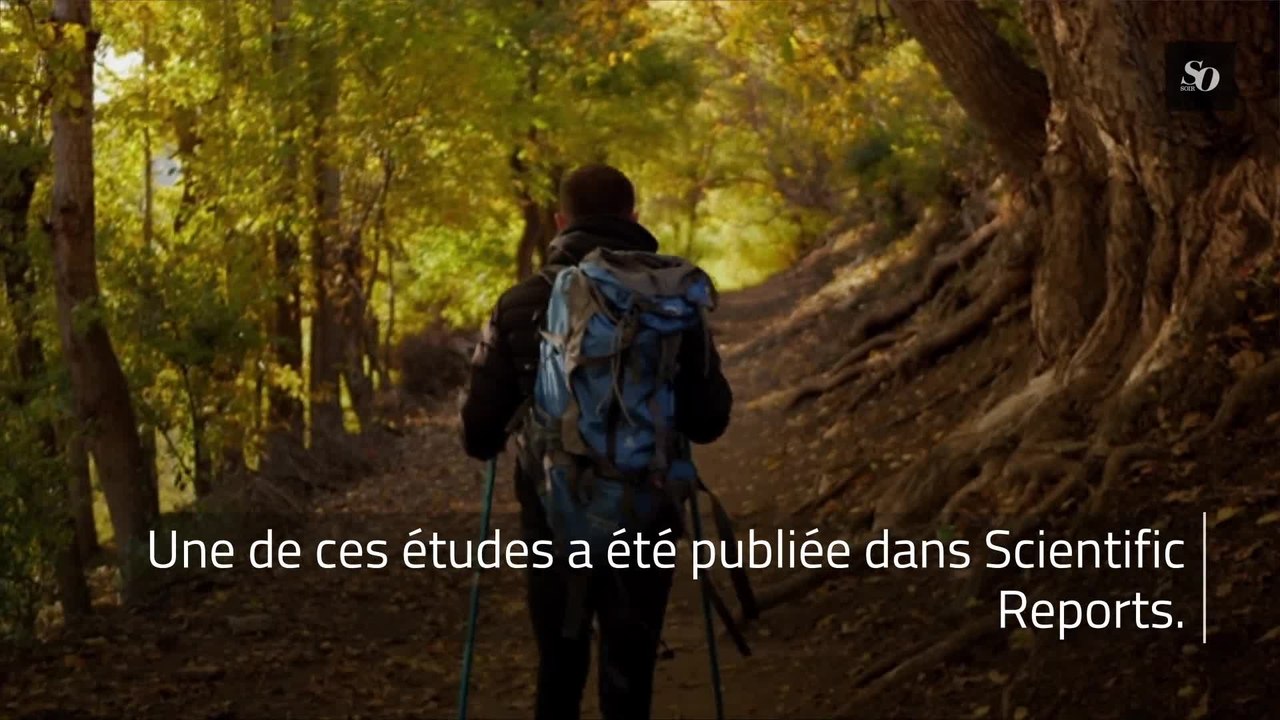 Avoir accès à la nature peut améliorer votre santé mentale selon une étude