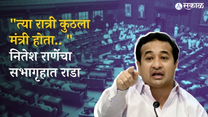 Nitesh Rane on aaditya thackeray: सुशांत सिंह राजपूत प्रकरणाने विधानसभेत गोंधळ,सभा तीन वेळा बरखास्त करण्यात आलं ।sakal 