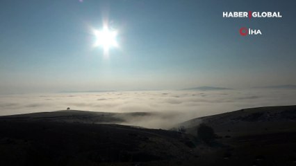 Nadir görülüyor, görenleri ise mest ediyor