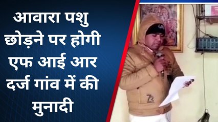 बिजनौर: पशुओं को छुट्टा छोड़ने वालों की खैर नहीं, दर्ज होगा मुकदमा