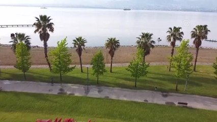 İzmit Körfezi'nin derinliklerinde denizatları görüntülendi