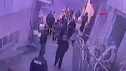 FATİH'TE MAHALLELİNİN MASKOTU KÖPEK 'POLAT'I BIÇAKLADILAR