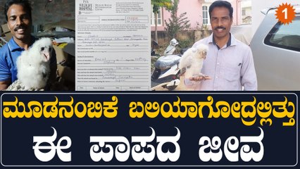 ಗೂಬೆ ಮರಿಯನ್ನು ರಕ್ಷಿಸಿದ ವಕೀಲರಿಗೆ ಶಹಬ್ಬಾಸ್ | Oneindia Kannada