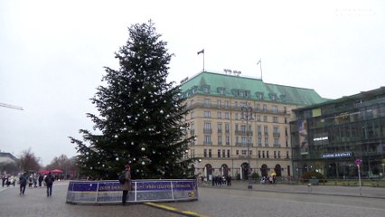 Главная рождественская ель Германии лишилась верхушки