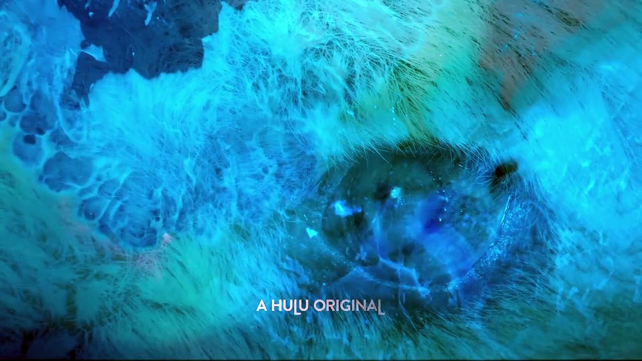 Endlings - Se2 - Ep09 HD Watch HD Deutsch