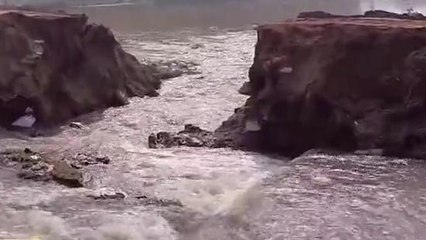 गोण्डा: सिचाई विभाग की लापरवाही से किसानों की फसल हुई बर्बाद