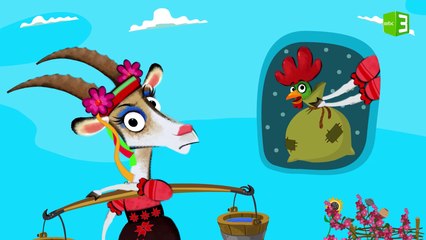 العنزة الحسود تغار من الديك الملون 