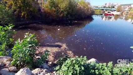 Kuş cennetinden geçip denize dökülen Göksu Nehri'nde su siyaha döndü