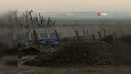 Mezarlıktaki yaban domuzları böyle görüntülendi