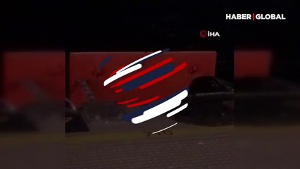 Galataport Limanı’nda görüntülendi! Suya inerek gözden kayboldu