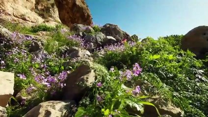 Beautiful Piano Music  Mind Focus Study Music, Calm Music, Relaxing Music