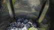 Blueberry Lemonade #drinks #refreshing #mocktail